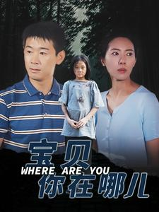 宝贝你在哪儿（30集）精彩的网络短剧