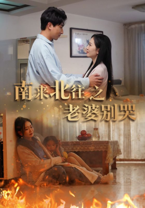 南来北往之老婆别哭（87集）真的太精彩了