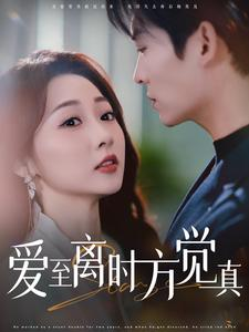 爱至离时方觉真（101集）精彩短剧看不停