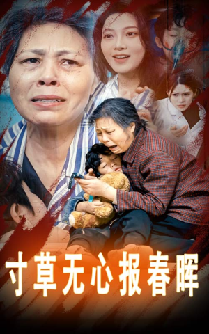 寸草无心报春晖（31集）在线看免费版