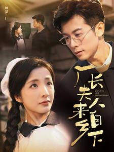 厂长夫人来自乡下（60集）免费观看