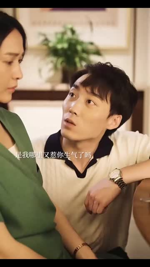 冲破婚姻的风暴（29集）热播古装短剧