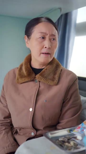 春运回家路（32集）短剧太精彩