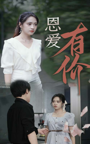 恩爱有价（31集）全集下载