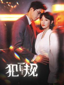 犯了规（96集）演的怎么样