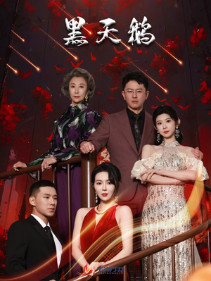 黑天鹅（51集）1-102集