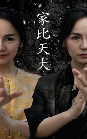 家比天大（63集）大结局太过瘾了