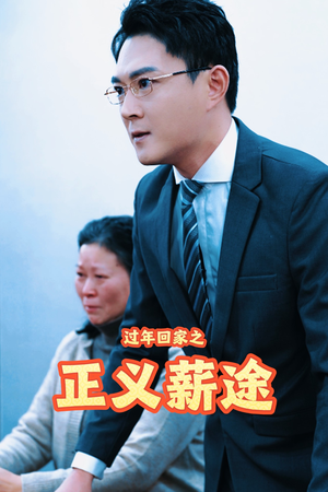 过年回家之正义薪途（40集）网盘在线观看