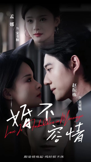 婚不容情（89集）全部免费看全集
