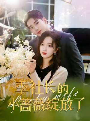 季社长的小蔷薇绽放了（60集）直接追到结尾