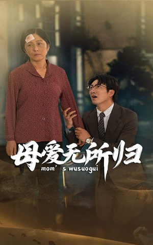 母爱无所归（33集）热播古装短剧