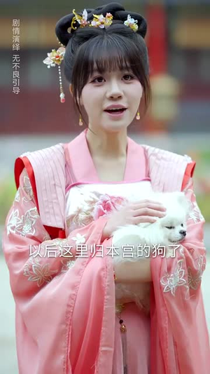 锦绣美人谋（67集）80到100集