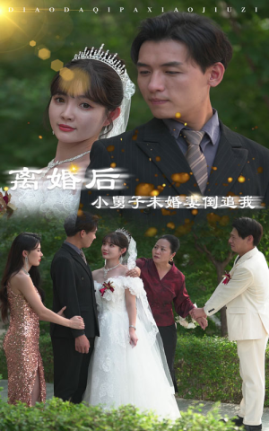 离婚后，小舅子未婚妻倒追我（30集）免费短剧大全
