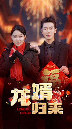 龙婿归来（27集）常回家看看短剧