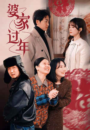 婆家过年（71集）免费看全网短剧