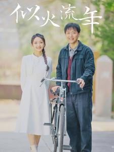 似火流年（100集）百度在线观看