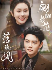 翩翩梨花落晚风（84集）追短剧关注我