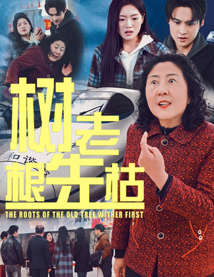 树老根先枯（33集）精彩短剧分享