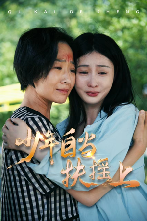 少年自当扶摇上（30集）全集下载