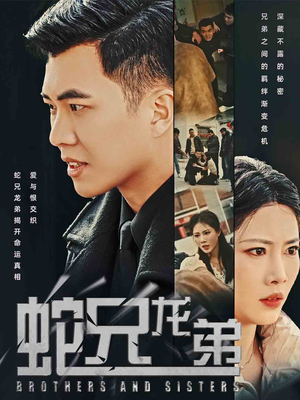 蛇兄龙弟（60集）免费观看