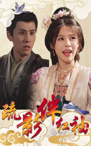 疏影伴红袖（40集）免费版
