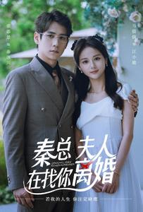 秦总，夫人在找你离婚（79集）短剧太好看