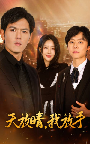 天放晴，我放手（35集）超火热门短剧