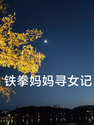 铁拳妈妈寻女记（69集）最新上映的短剧