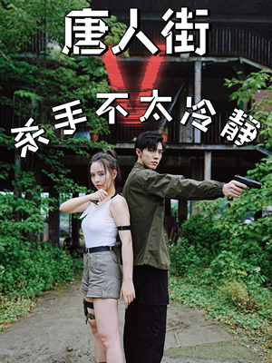 唐人街杀手不太冷静（20集）最新热剧免费看