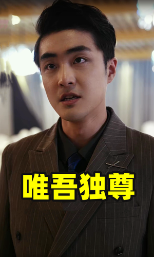 唯吾独尊（96集）全剧看到大结局