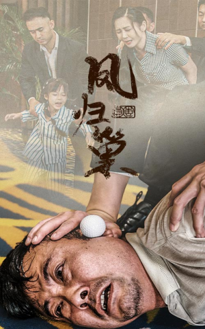 新版：凤归巢（68集）免费全集短剧
