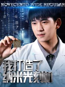 我打造了纳米光刻机（76集）高清无码免费看
