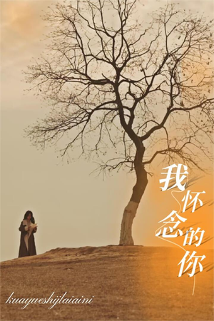 我怀念的你（38集）红果免费看短剧