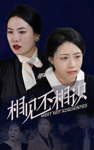 相见不相识（34集）甜宠短剧推荐