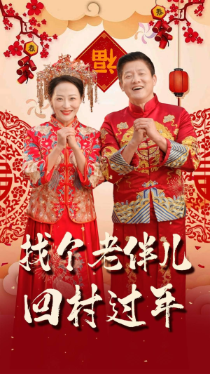 找个老伴儿回村过年（58集）短剧全集免费