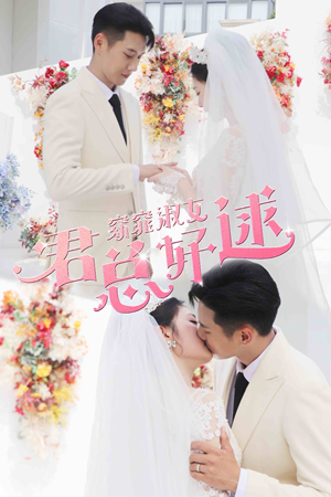 窈窕淑女，君总好逑（85集）全集
