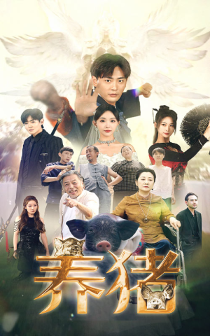 养猪（74集）短剧精彩不断