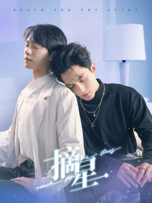 摘星（81集）爆火短剧推荐