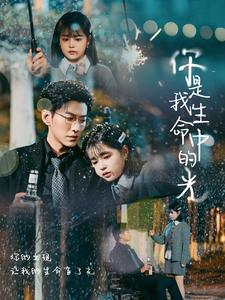 你是我生命中的光（75集）全集免费观看
