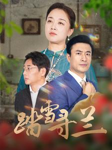 踏雪寻兰（94集）看到大结局