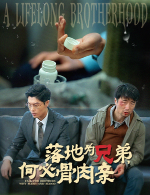 落地为兄弟，何必骨肉亲（60集）全集免费