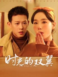 时光的双翼（94集）看短剧放松一下