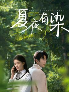 夏夜有染（81集） 全集免费看短剧