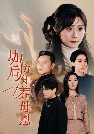 劫后方知养母恩（45集） 短视频追剧推荐