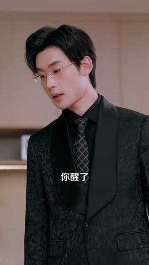 你好，机长先生（101集） 短剧精彩绝伦