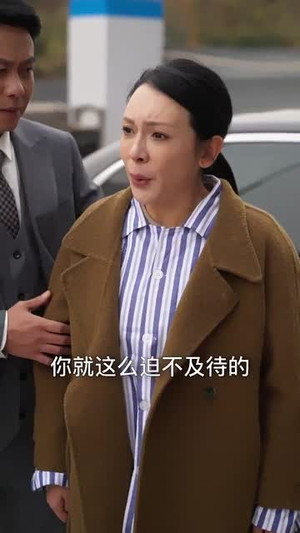 中年离婚后她名动商界（30集） 精彩短剧免费看