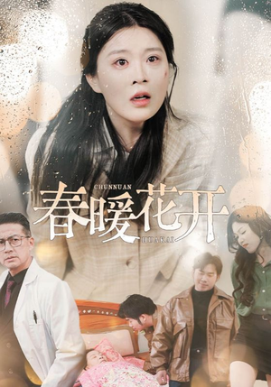 春暖花开（30集） 短剧免费看全集