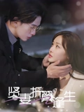 贤妻折翼逢生&雨落灯残梦（85集）  热门短剧推荐。