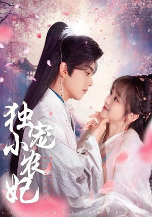 独宠小农妃（63集） 最新上映的短剧