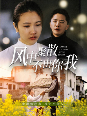 风中聚散不由你我（41集） 短剧太精彩了